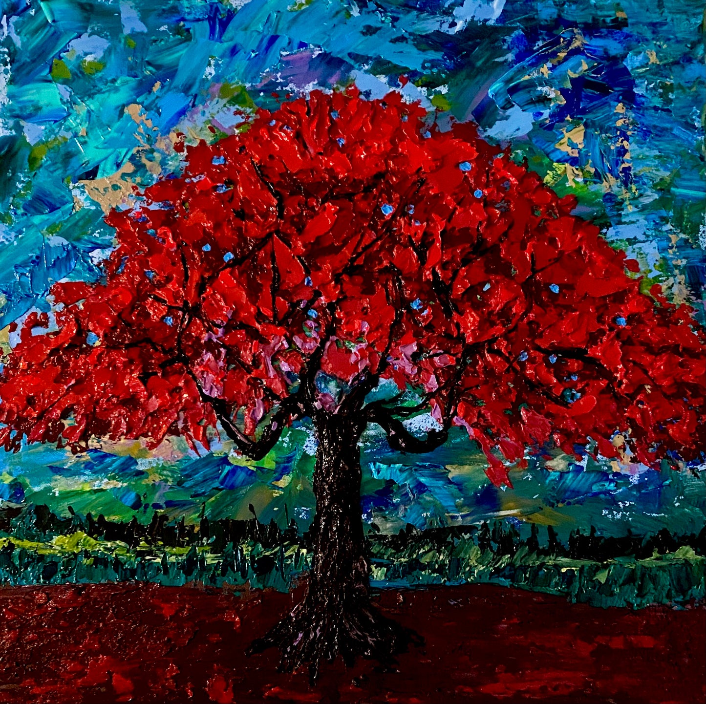 "Harmony of Nature: Flamboyant Tree"